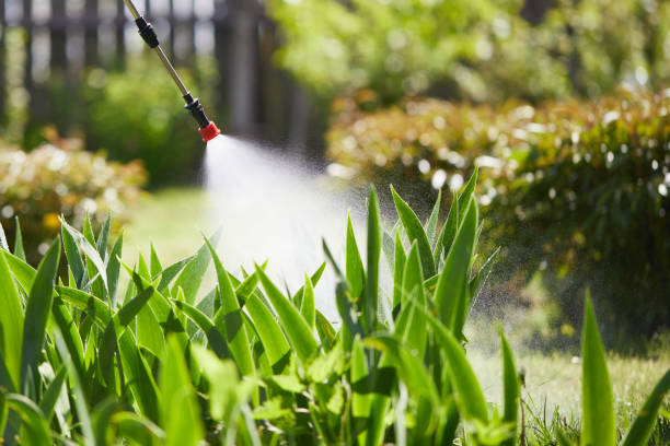 24/7 Emergency Mosquito Control experts in Lake Arbor, MD